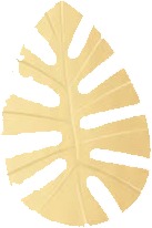 a yellow leaf shaped object.jpg